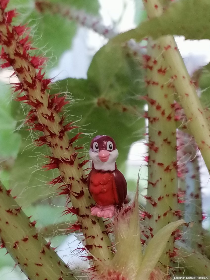 Лурения: Утиные истории - Семья Барина, Ванилька и Милош