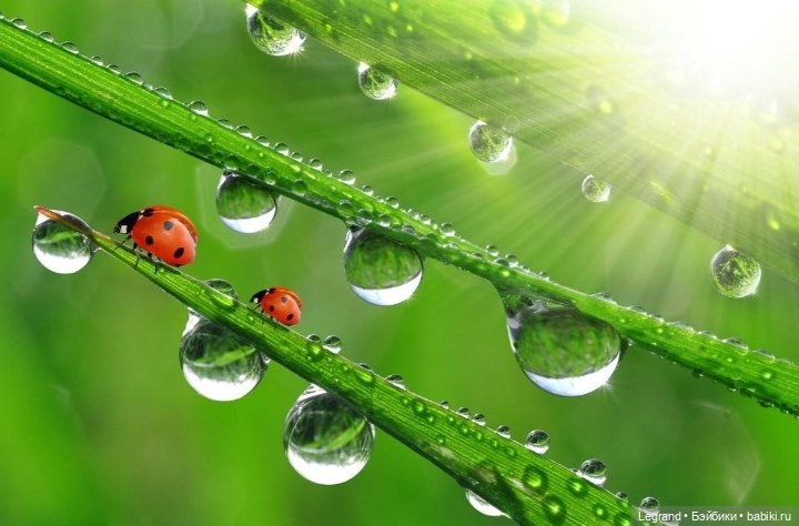 Они сами пишут свои истории: Шебнем и Джемаль