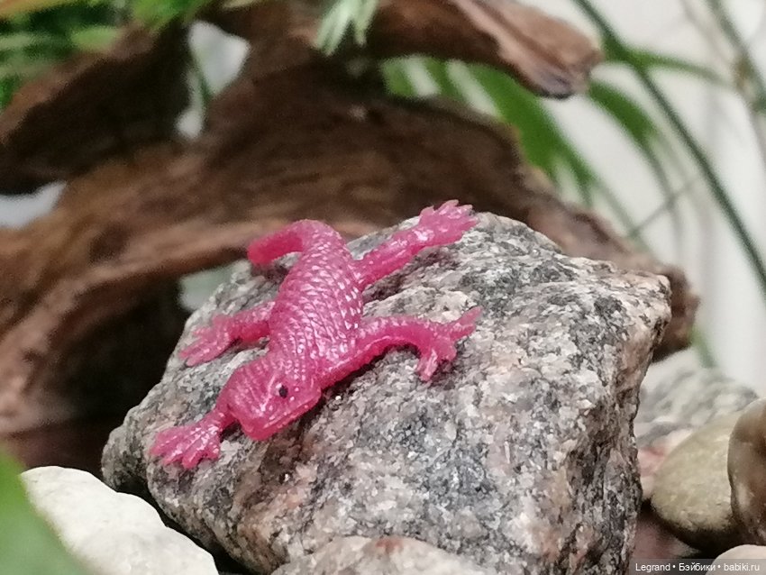 Лурения: питомцы в саду — Интересные игрушки и фигурки (разное): редкие (фото 6)