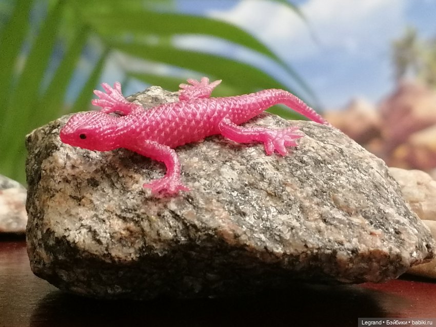 Лурения: питомцы в саду — Интересные игрушки и фигурки (разное): редкие (фото 10)