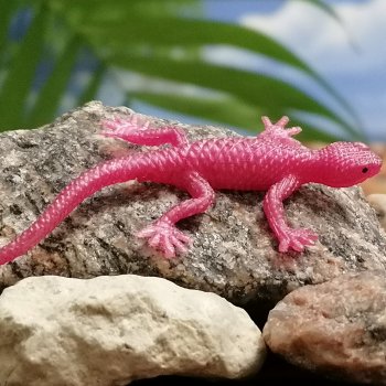 Лурения: питомцы в саду