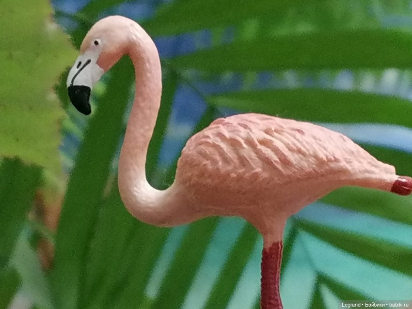 Лурения: Верхний сад - фламинго и утиная семья (фото 4)