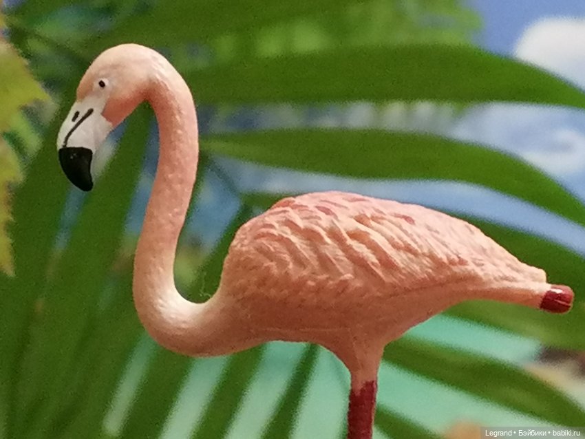 Лурения: Верхний сад - фламинго и утиная семья (фото 7)