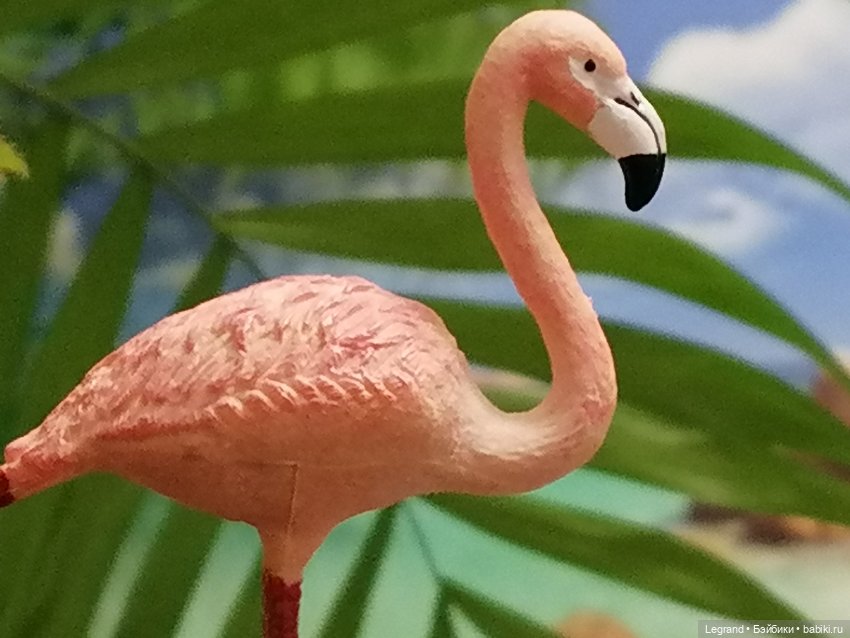 Лурения: Верхний сад - фламинго и утиная семья (фото 5)