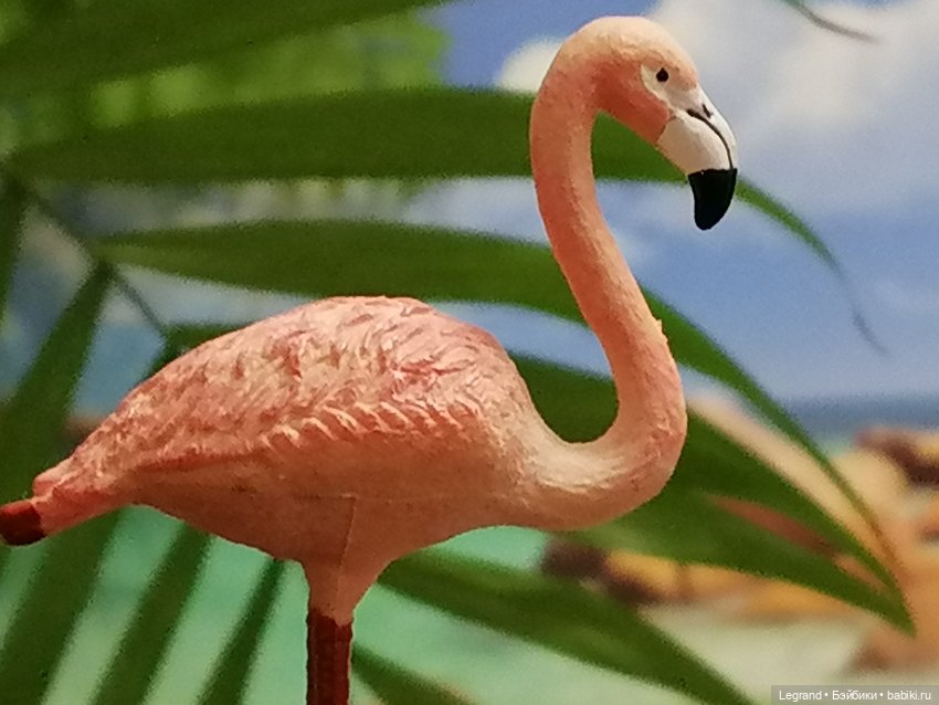 Лурения: Верхний сад - фламинго и утиная семья (фото 6)