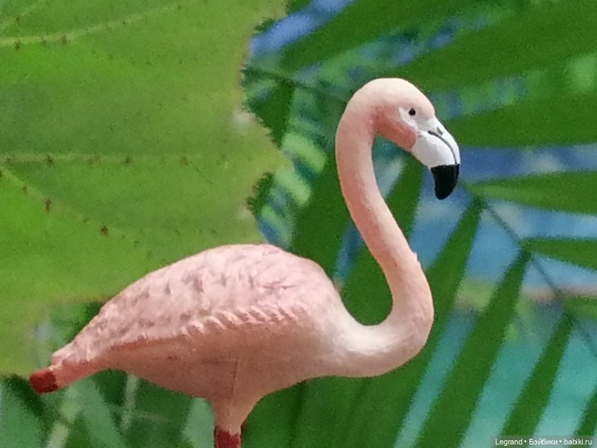 Лурения: Верхний сад - фламинго и утиная семья (фото 2)