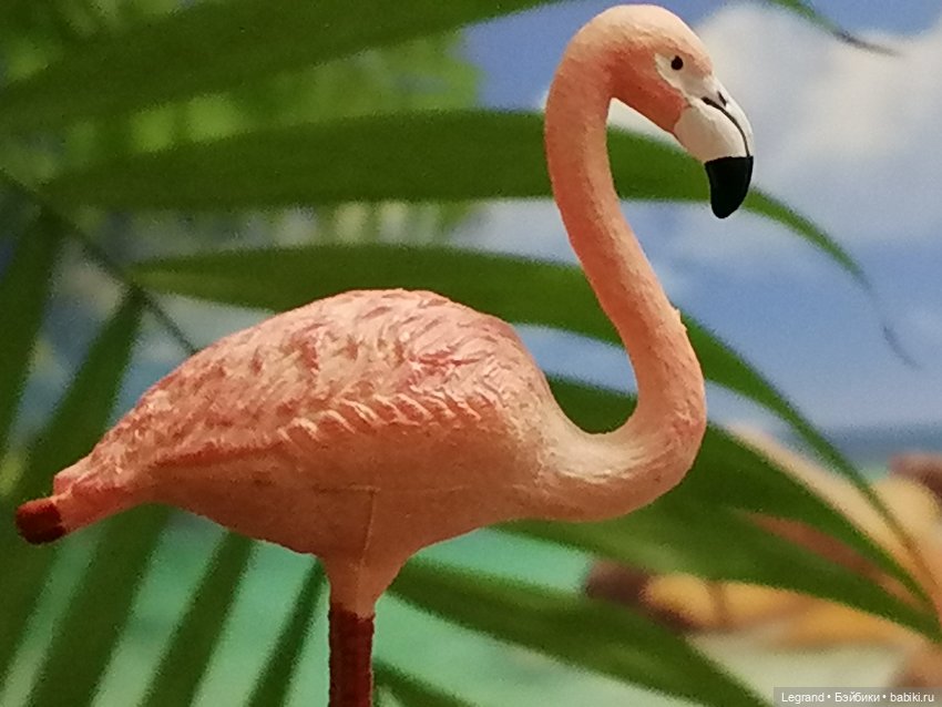 Лурения: Верхний сад - фламинго и утиная семья (фото 8)