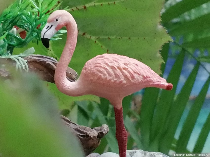 Лурения: Верхний сад - фламинго и утиная семья