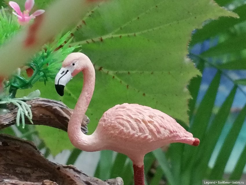 Лурения: Верхний сад - фламинго и утиная семья