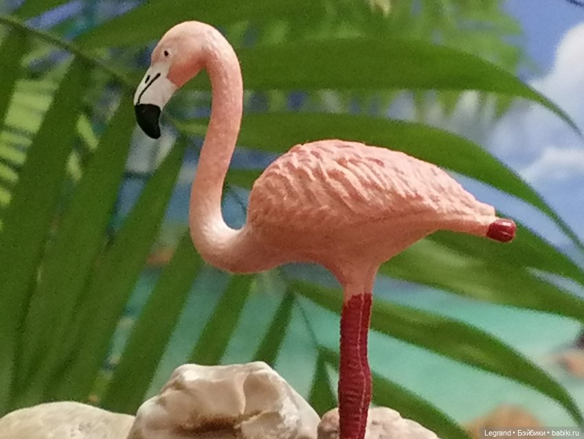 Лурения: Верхний сад - фламинго и утиная семья