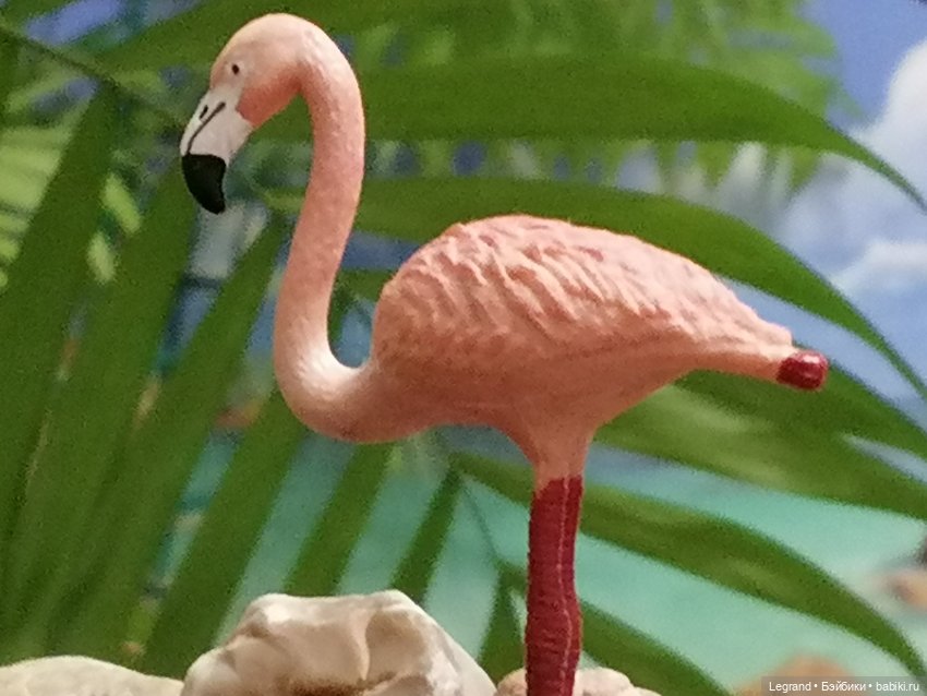 Лурения: Верхний сад - фламинго и утиная семья (фото 9)