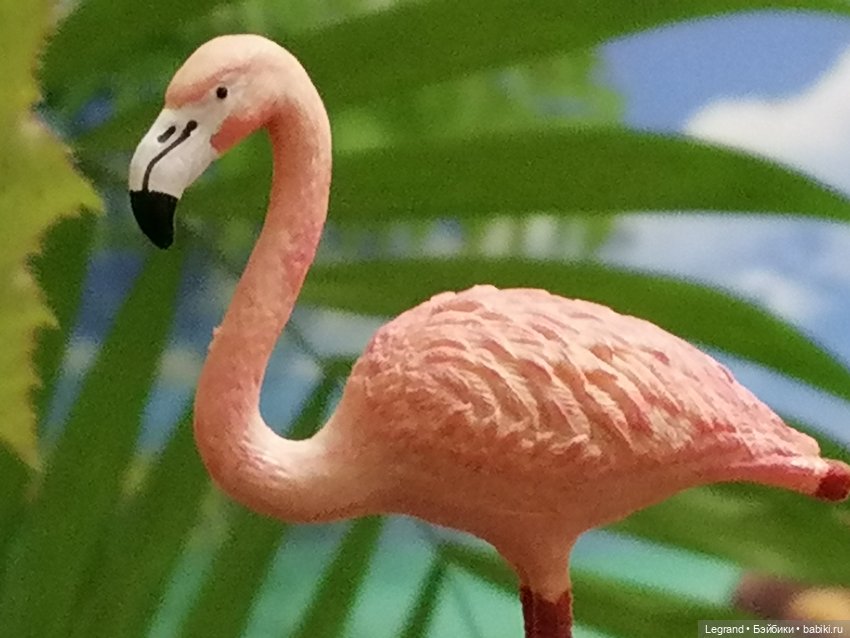 Лурения: Верхний сад - фламинго и утиная семья