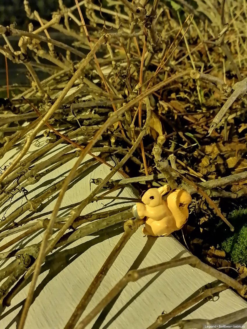 Санкт-Петербург: поздний ноябрь, вечерние фото - часть вторая