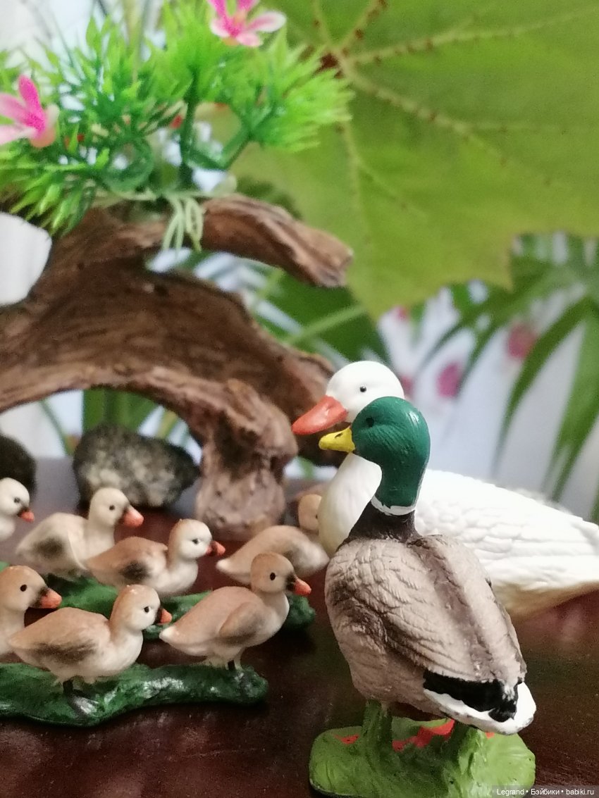 Лурения: Верхний сад - фламинго и утиная семья