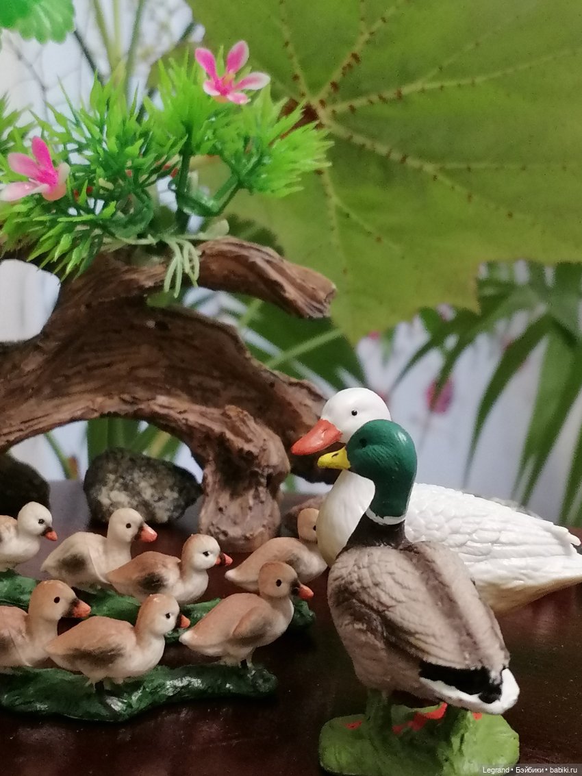 Лурения: Верхний сад - фламинго и утиная семья