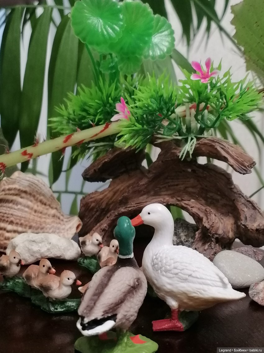 Лурения: Верхний сад - фламинго и утиная семья