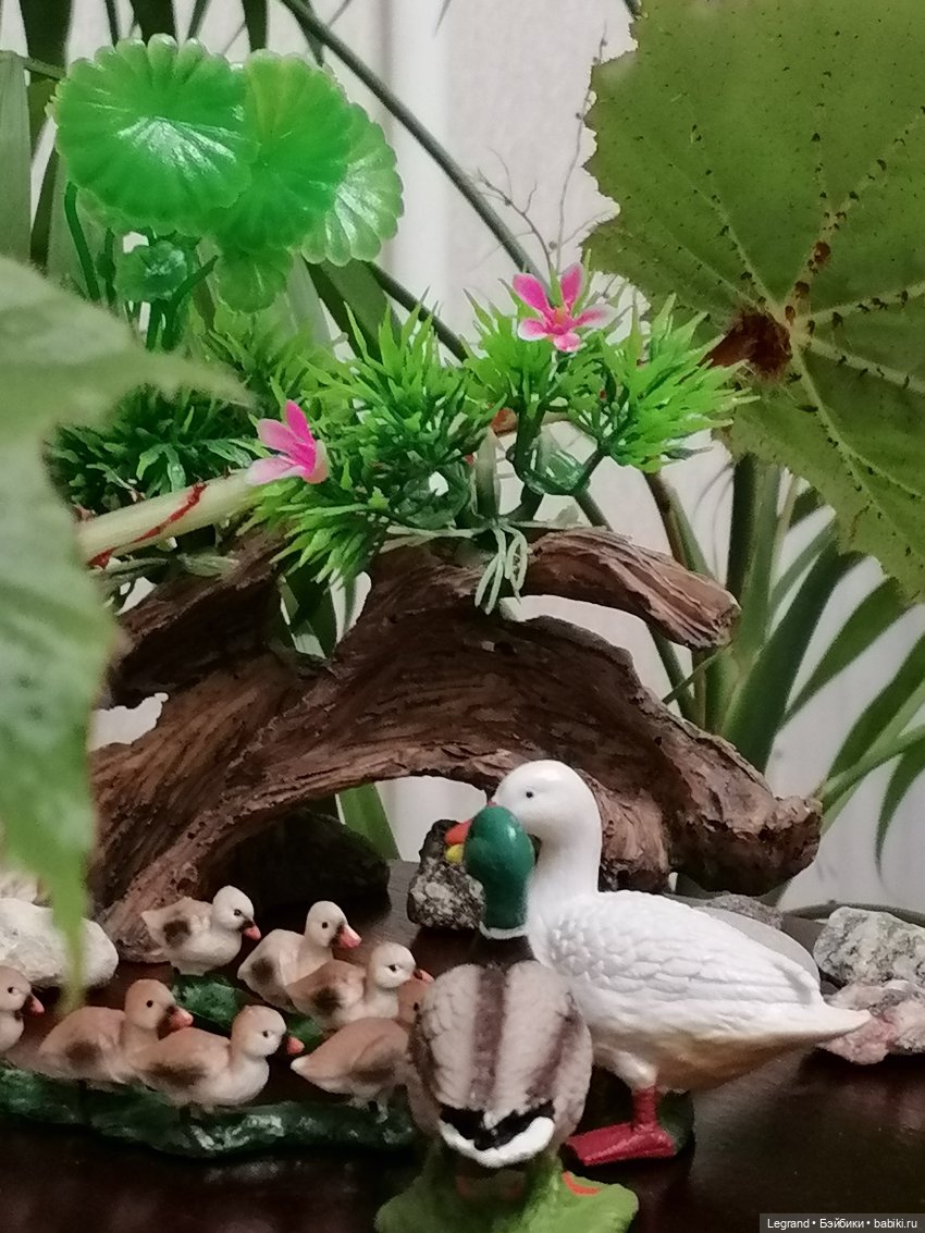 Лурения: Верхний сад - фламинго и утиная семья