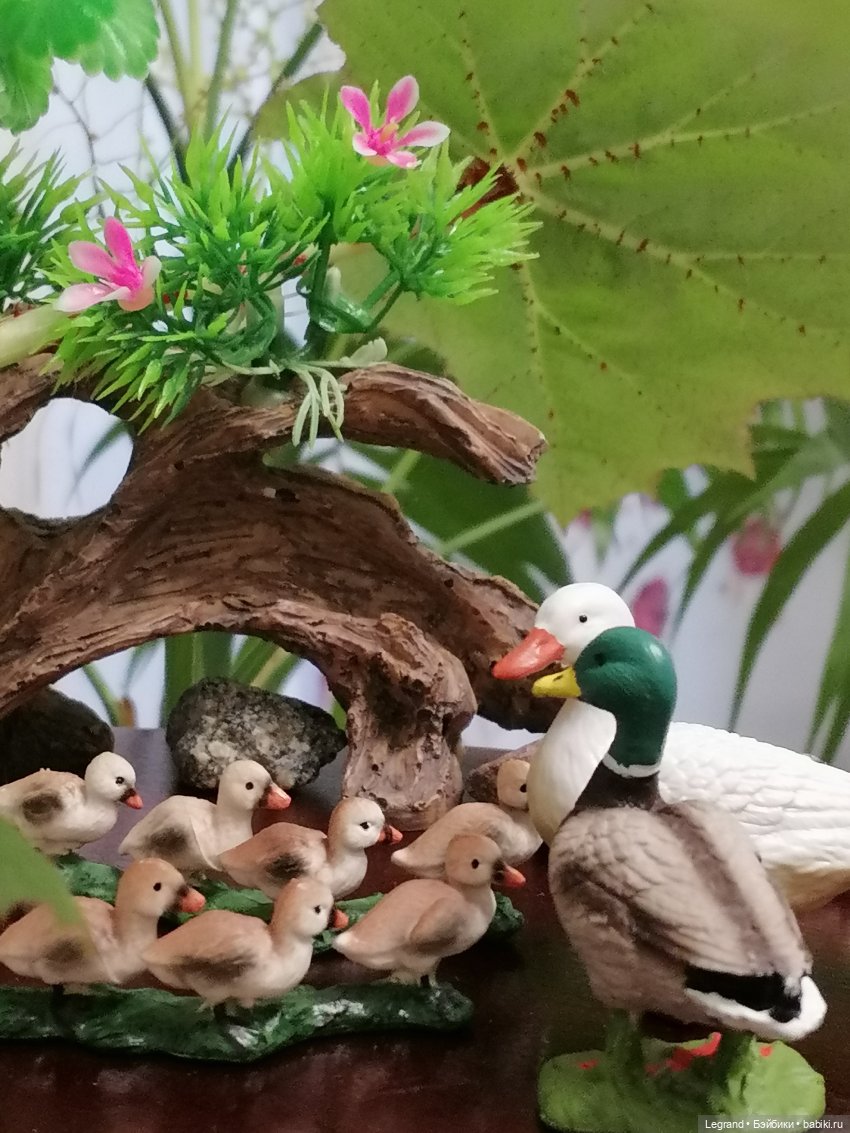 Лурения: Верхний сад - фламинго и утиная семья