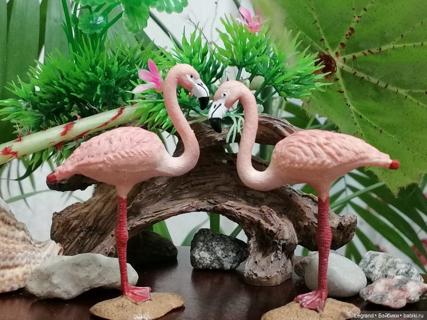 Лурения: Верхний сад - фламинго и утиная семья