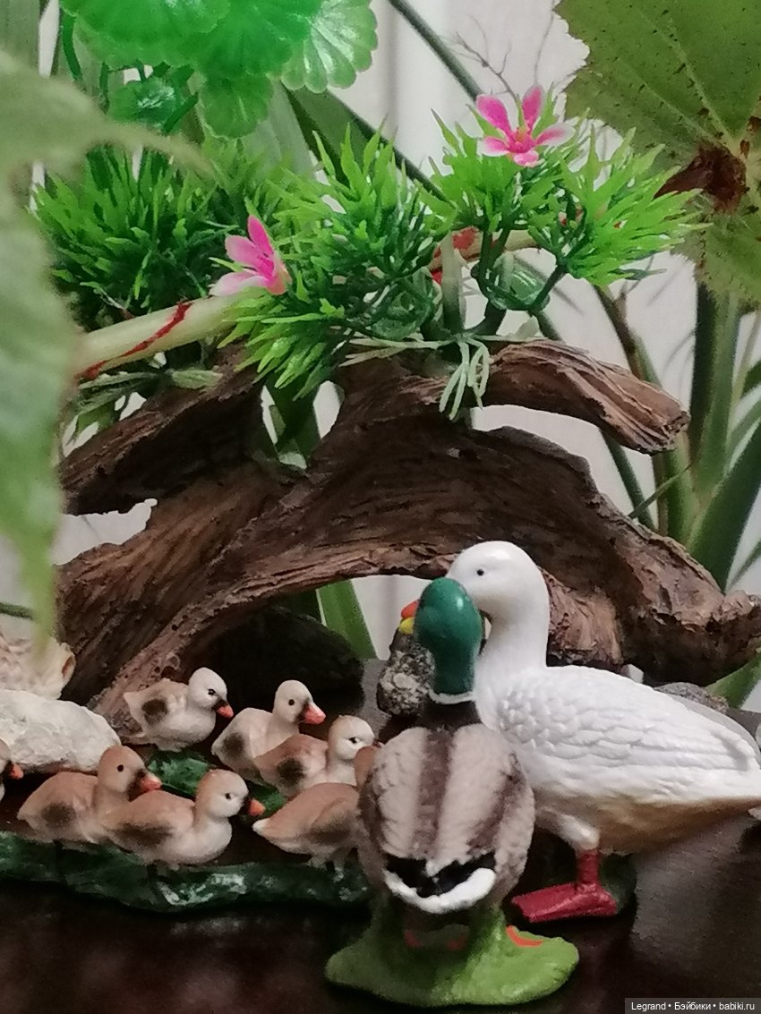 Лурения: Верхний сад - фламинго и утиная семья