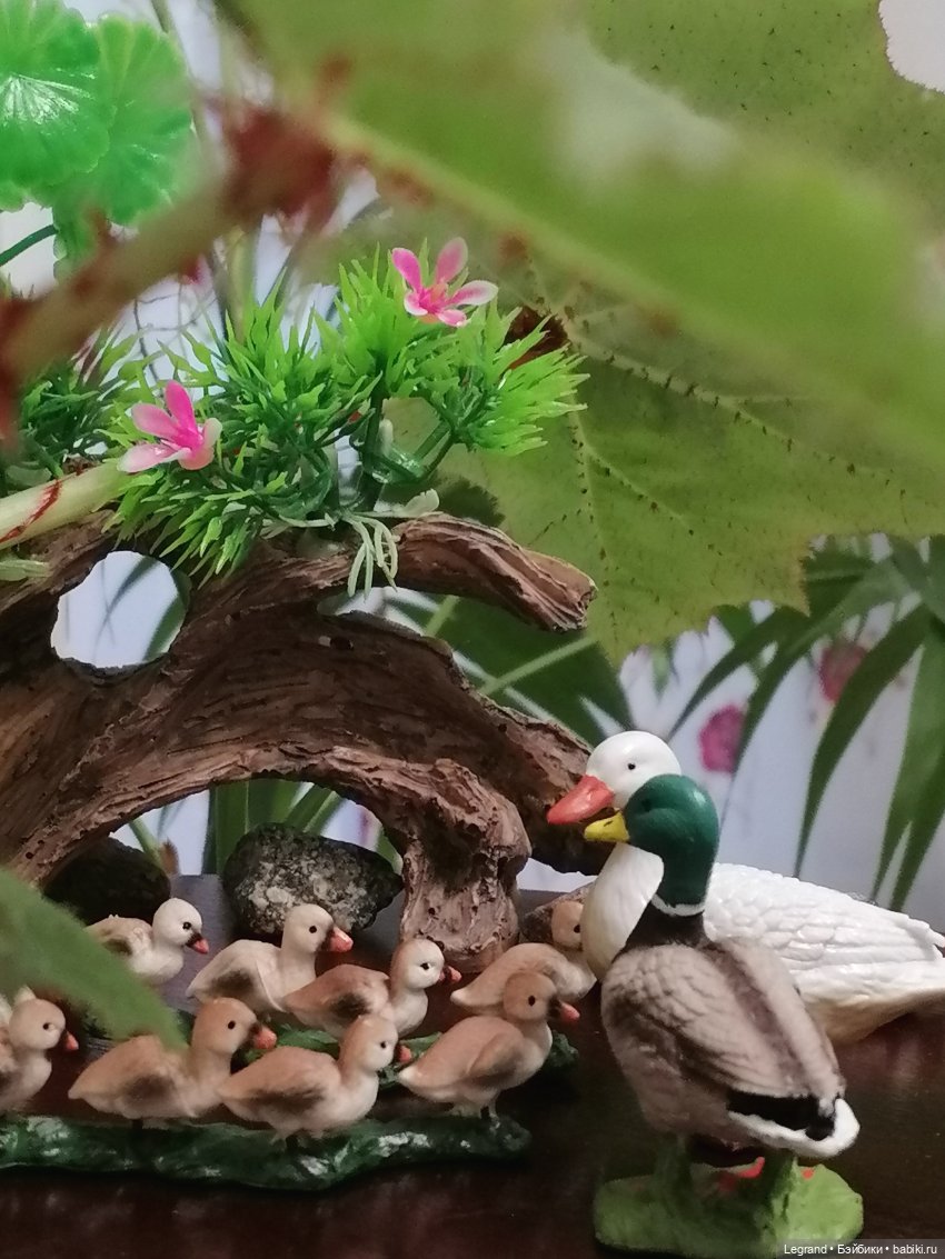 Лурения: Верхний сад - фламинго и утиная семья