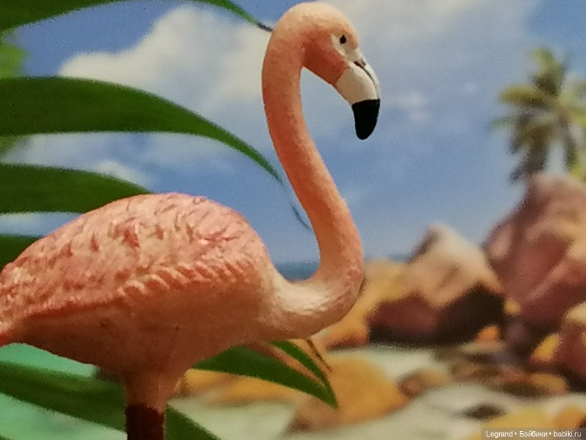 Лурения: Верхний сад - фламинго и утиная семья