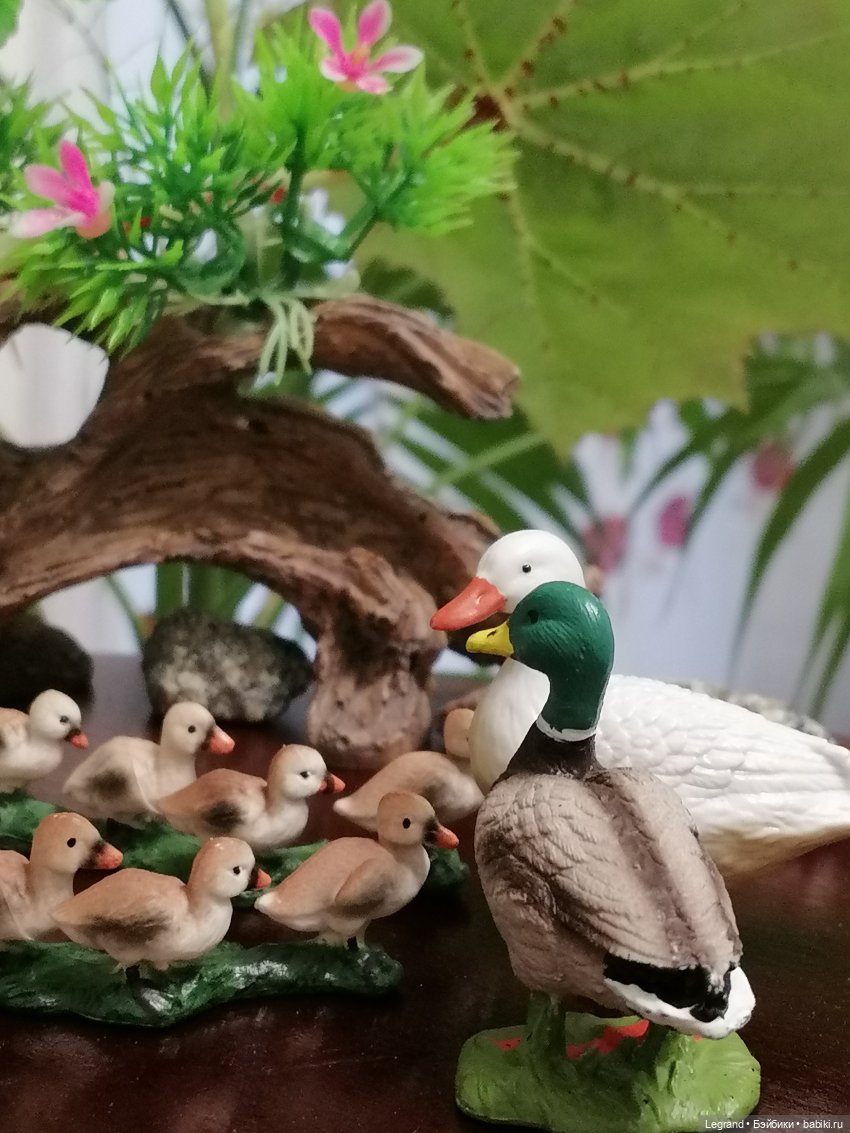 Лурения: Верхний сад - фламинго и утиная семья