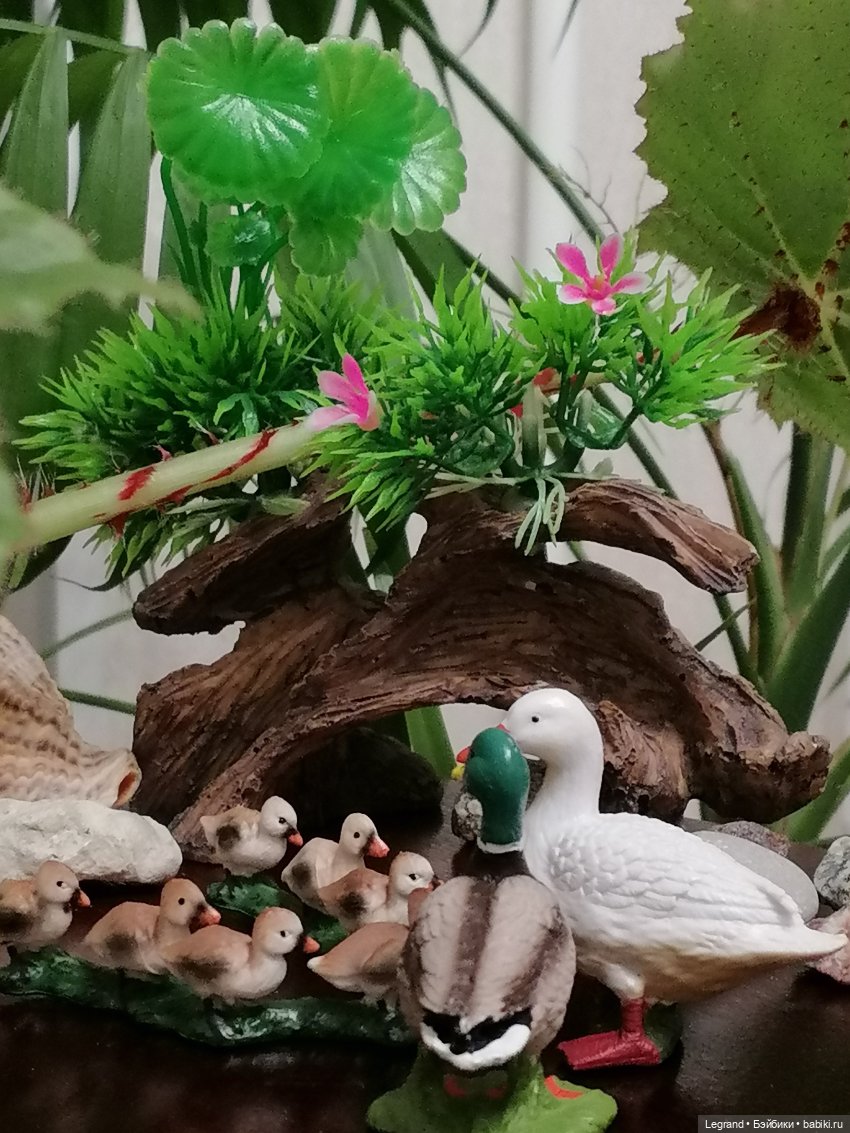 Лурения: Верхний сад - фламинго и утиная семья