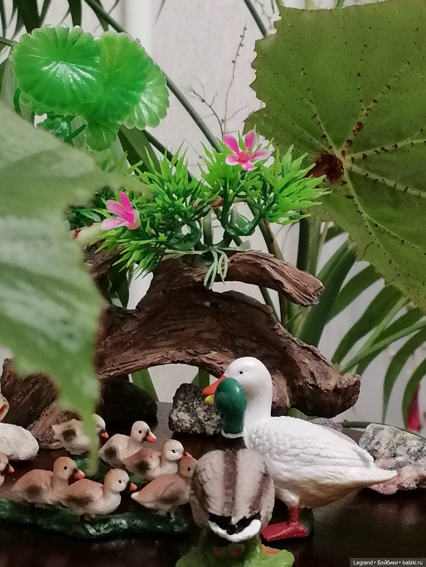 Лурения: Верхний сад - фламинго и утиная семья