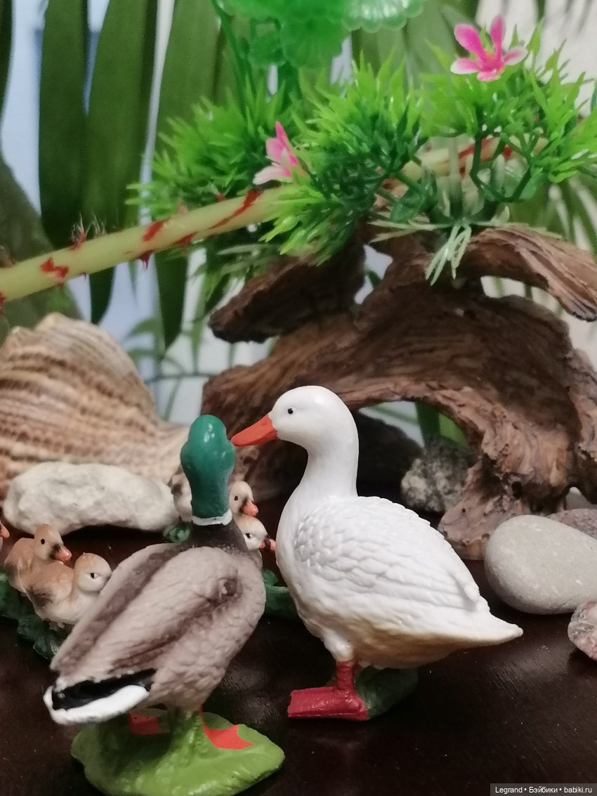 Лурения: Верхний сад - фламинго и утиная семья