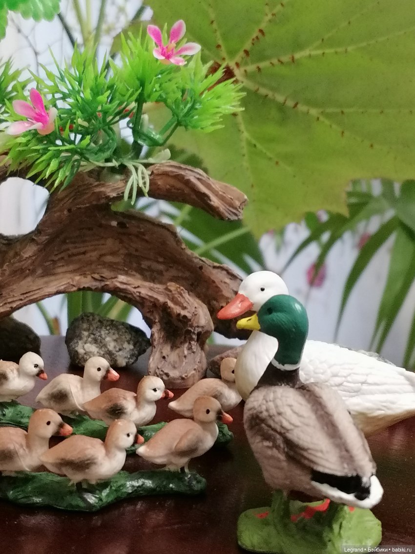 Лурения: Верхний сад - фламинго и утиная семья