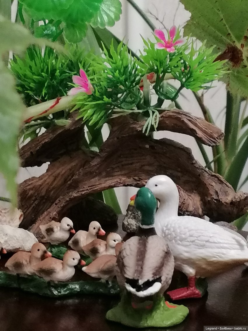 Лурения: Верхний сад - фламинго и утиная семья