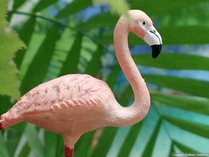 Лурения: Верхний сад - фламинго и утиная семья