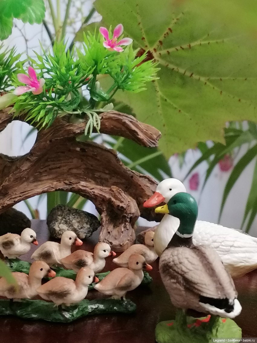 Лурения: Верхний сад - фламинго и утиная семья