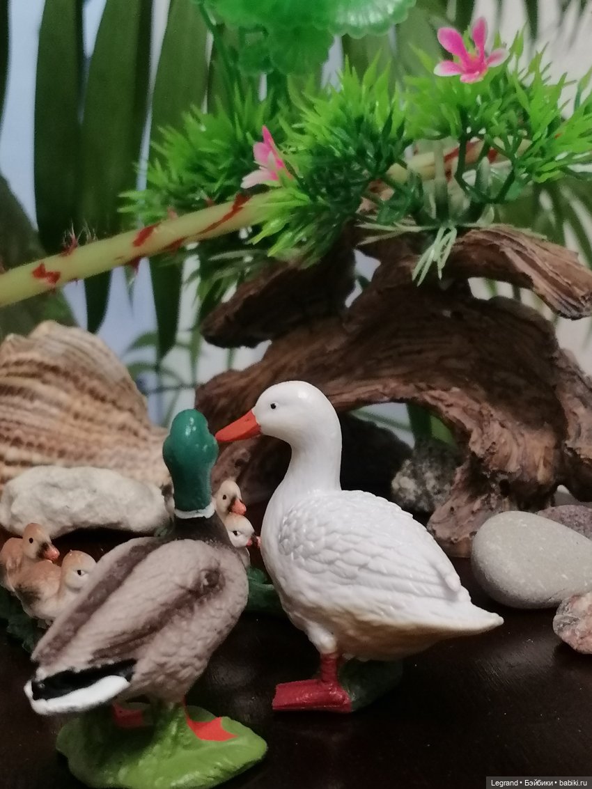 Лурения: Верхний сад - фламинго и утиная семья