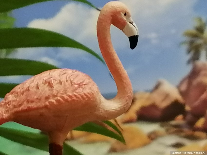 Лурения: Верхний сад - фламинго и утиная семья