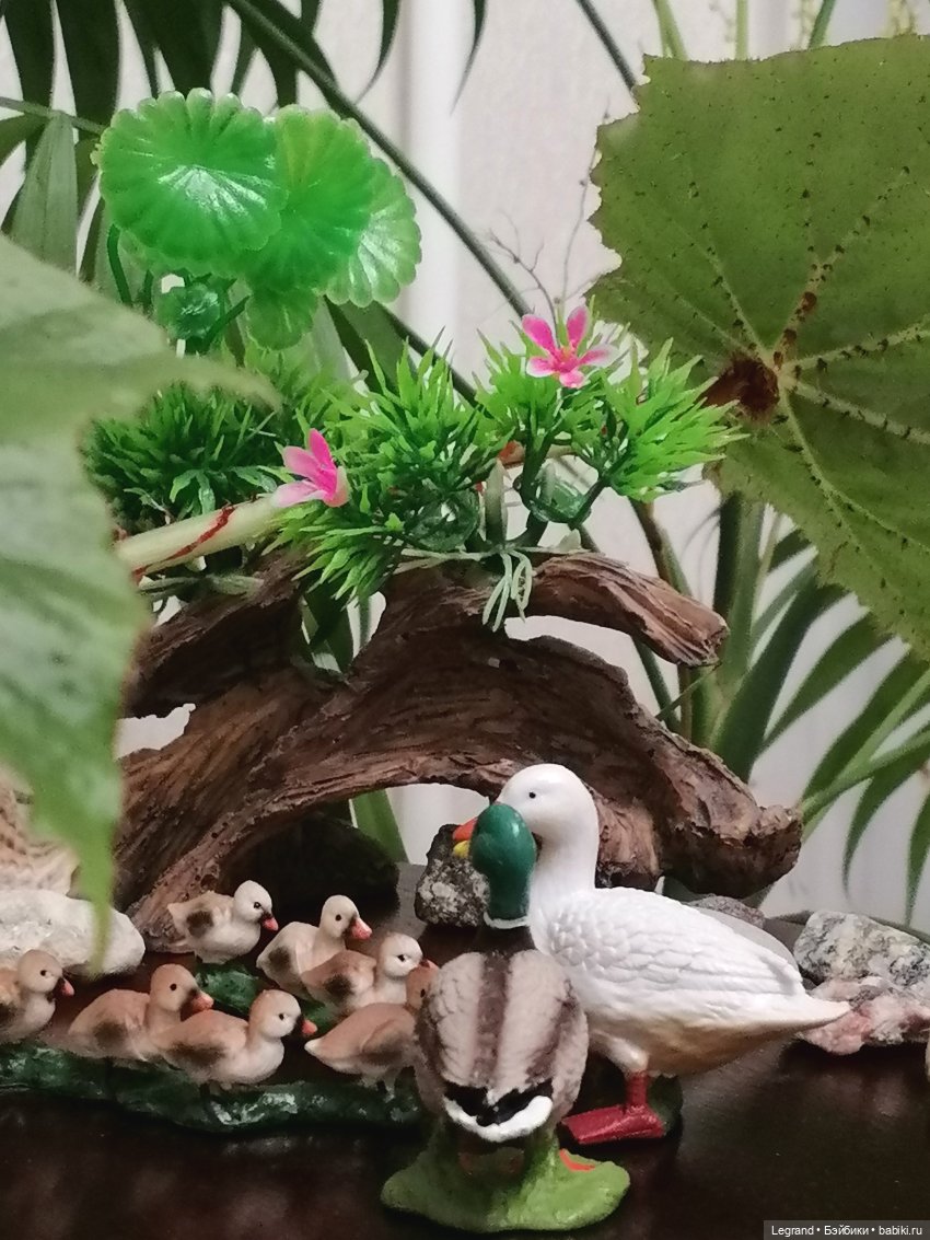 Лурения: Верхний сад - фламинго и утиная семья