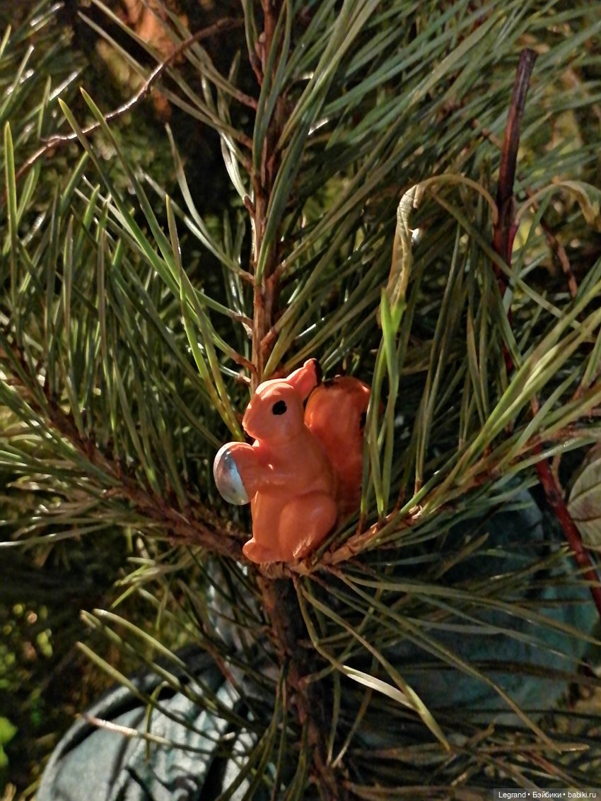 Санкт-Петербург: поздний ноябрь, вечерние фото - часть вторая (фото 5)