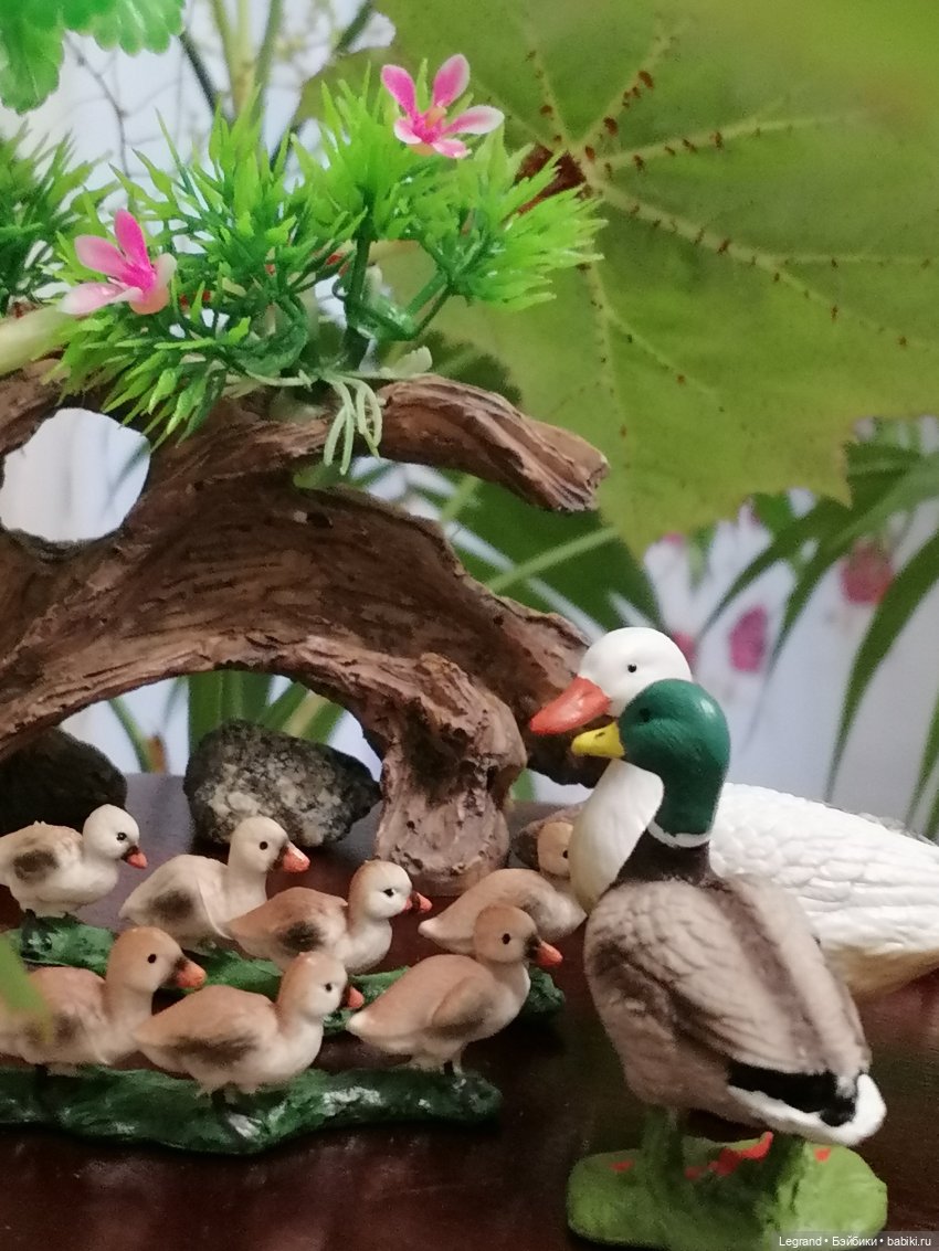 Лурения: Верхний сад - фламинго и утиная семья