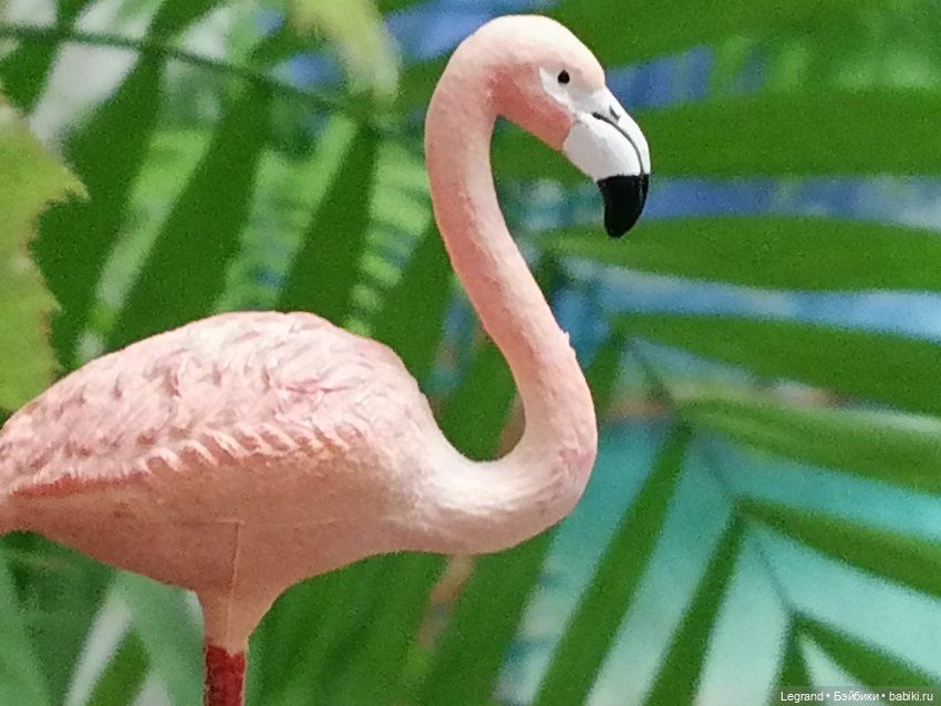 Лурения: Верхний сад - фламинго и утиная семья