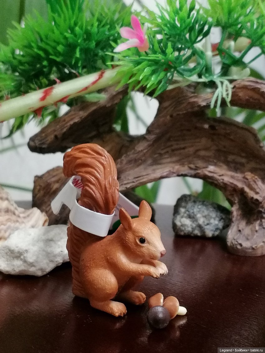 Лурения: новые белочки — Коллекционные фигурки (разное): животные