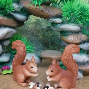 Лурения: новые белочки