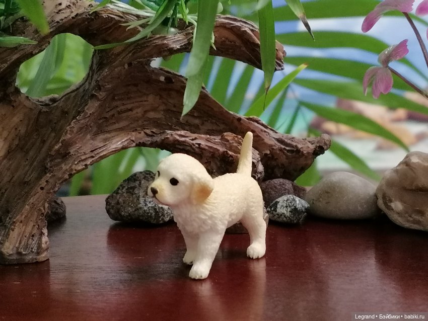 Лурения: собачки на прогулке в Верхнем саду