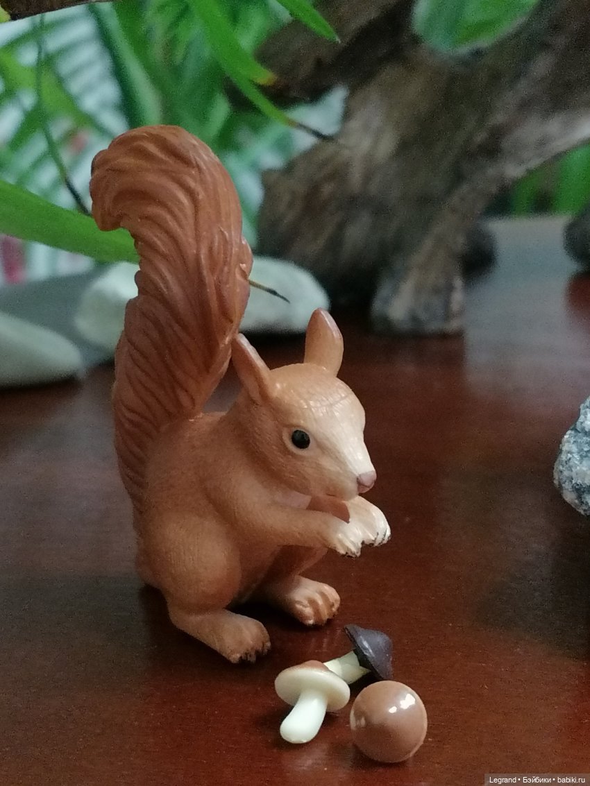 Из жизни моих мишек: Мишель, Гюлиз и белки