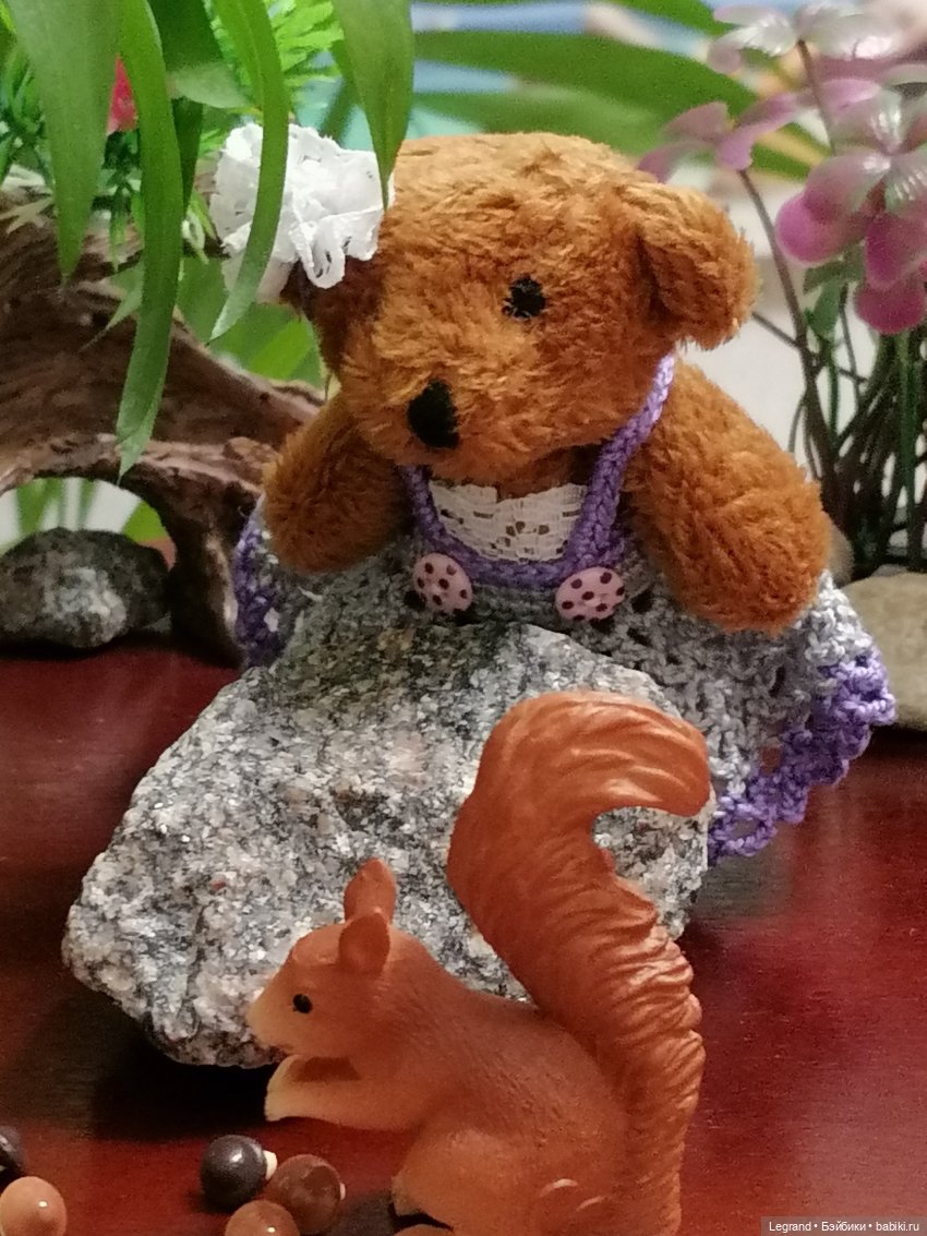 Из жизни моих мишек: Мишель, Гюлиз и белки