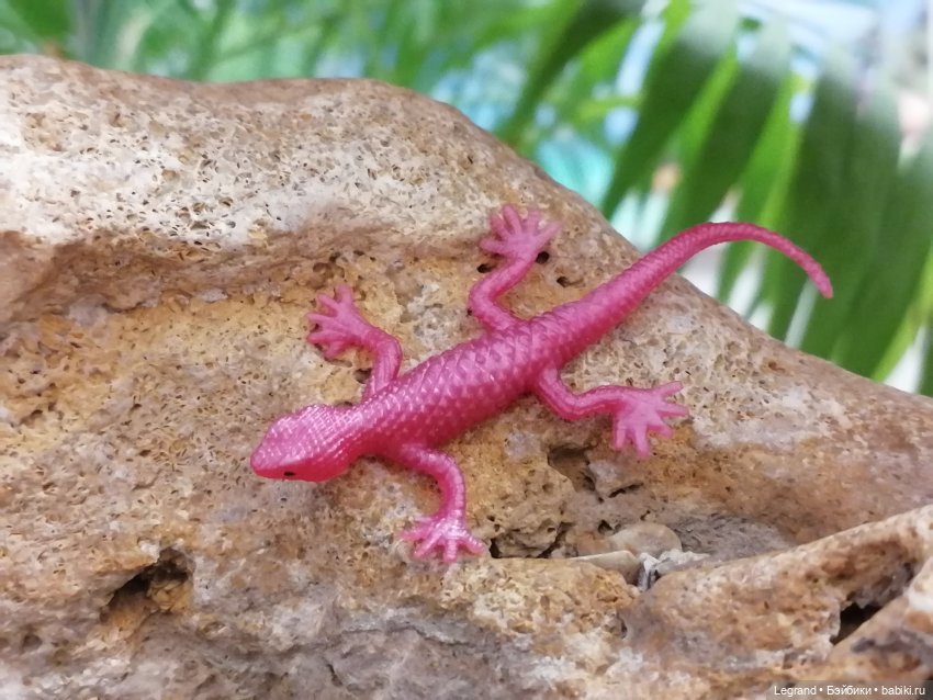 Лурения: собачки на прогулке в Верхнем саду (фото 6)