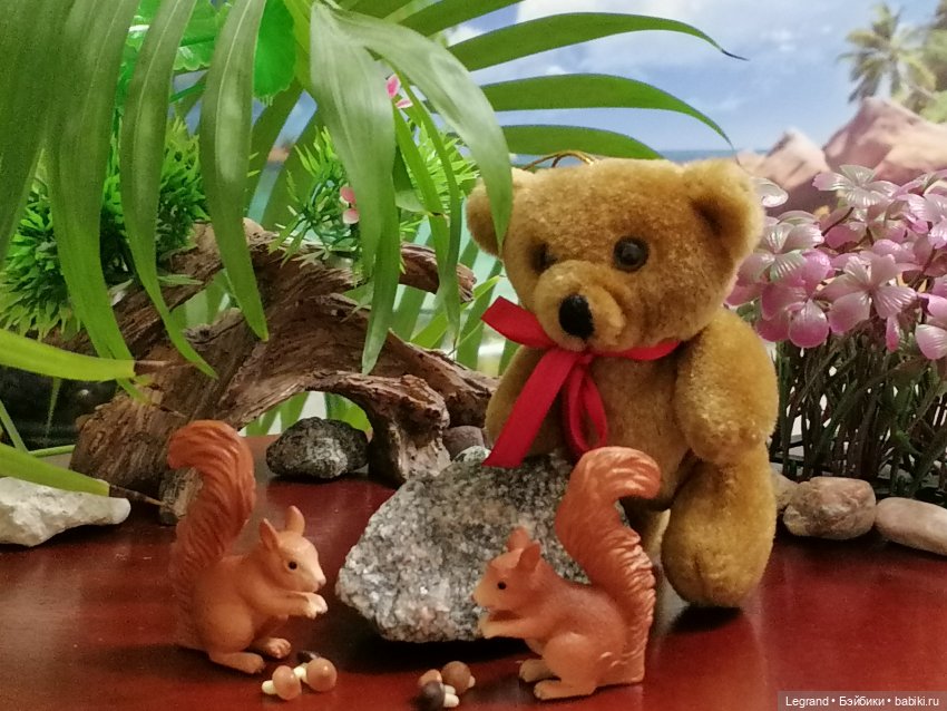 Из жизни моих мишек: Мишель, Гюлиз и белки