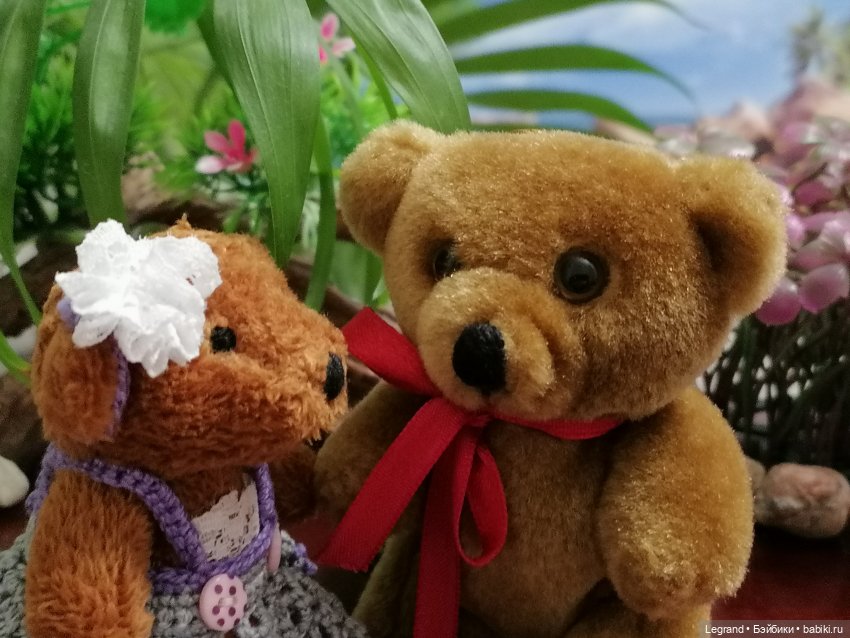 Из жизни моих мишек: Мишель, Гюлиз и белки