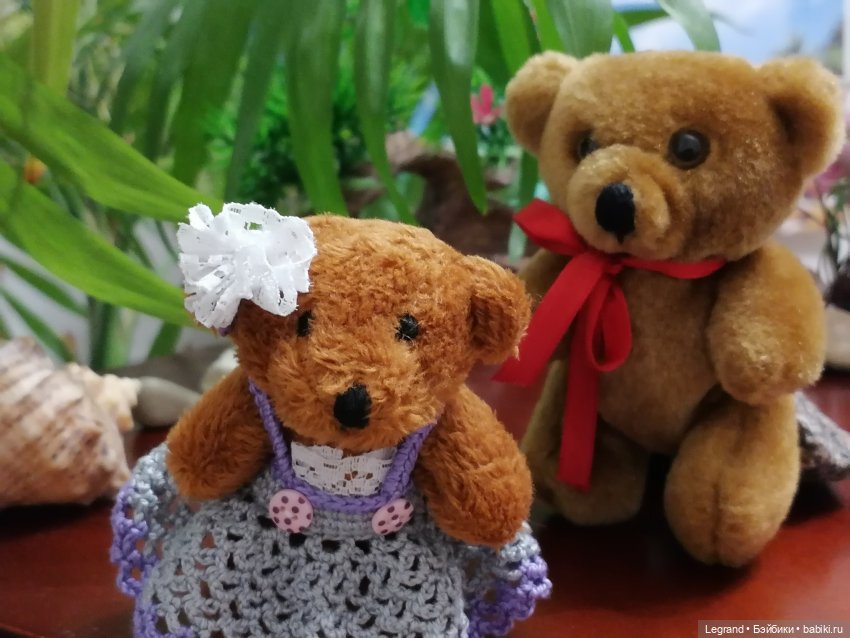 Из жизни моих мишек: Мишель, Гюлиз и белки (фото 7)