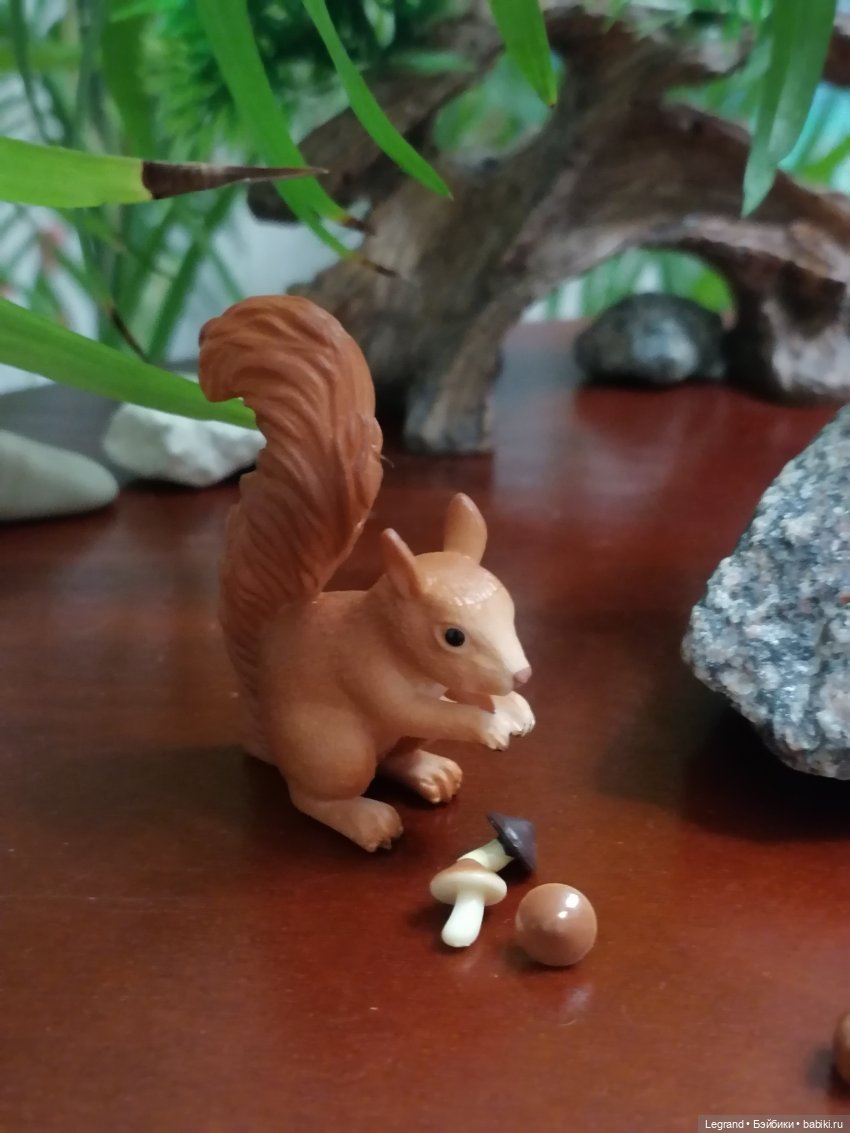 Из жизни моих мишек: Мишель, Гюлиз и белки